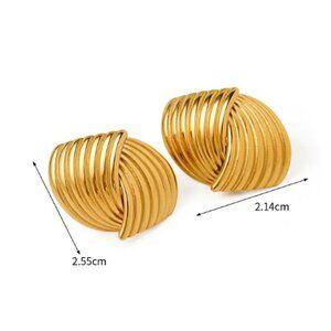 #313  Stainless Steel Geometric Earrings